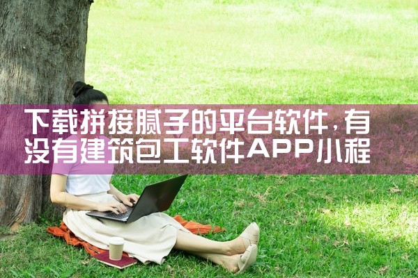 下载拼接腻子的平台软件