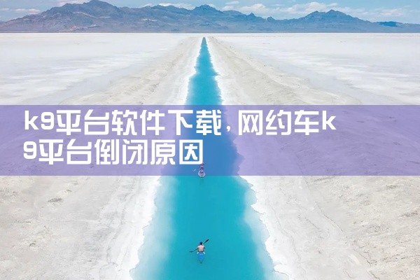 k9平台软件下载