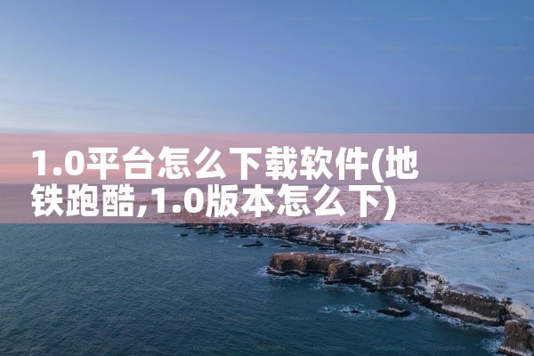 1.0平台怎么下载软件