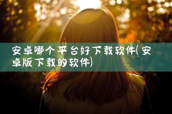 安卓哪个平台好下载软件
