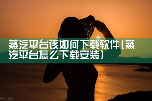 蒸汽平台该如何下载软件