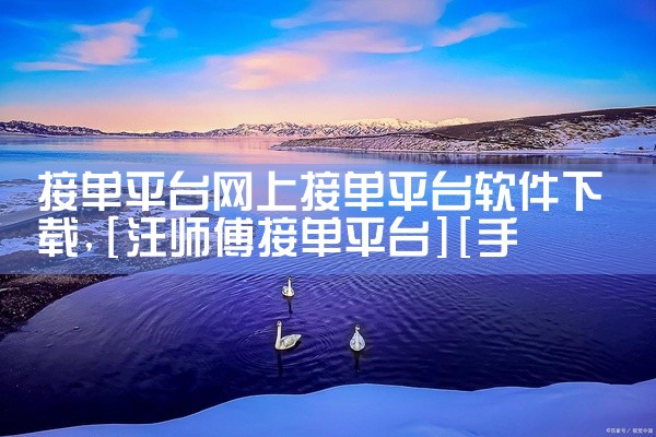 接单平台网上接单平台软件下载