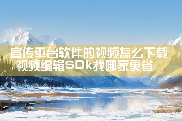宣传平台软件的视频怎么下载