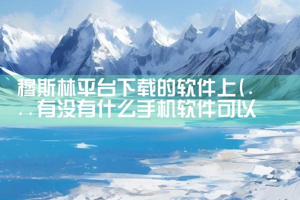 穆斯林平台下载的软件上