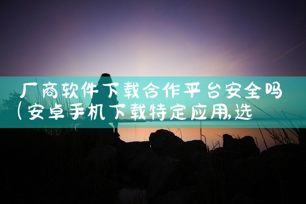 厂商软件下载合作平台安全吗