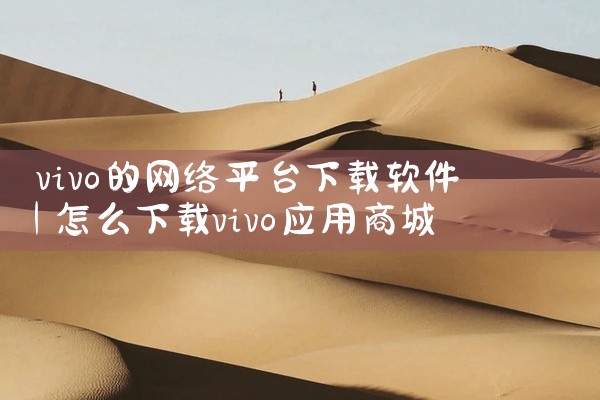 vivo的网络平台下载软件
