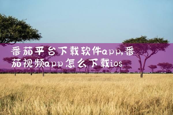 番茄平台下载软件app