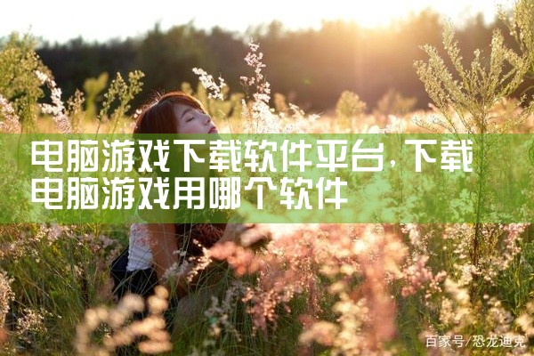 电脑游戏下载软件平台