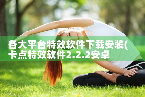 各大平台特效软件下载安装