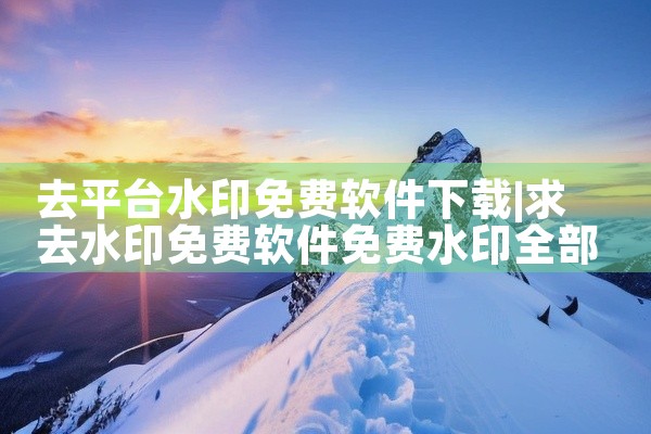 去平台水印免费软件下载