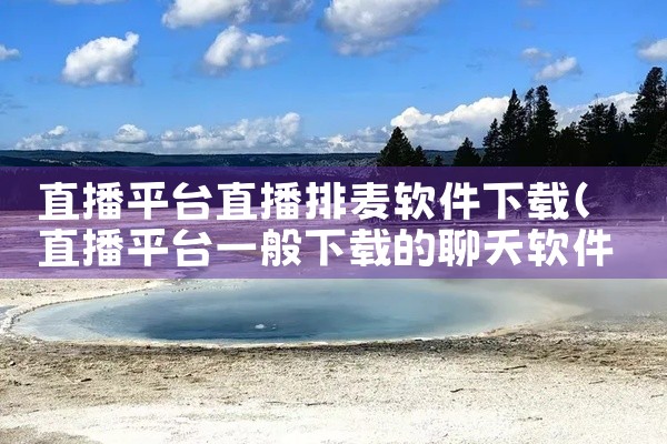 直播平台直播排麦软件下载