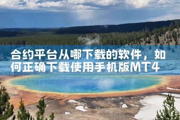 天马直播平台怎么下载软件
