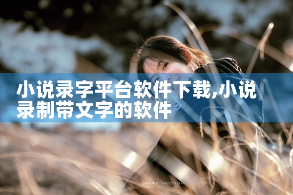 小说录字平台软件下载