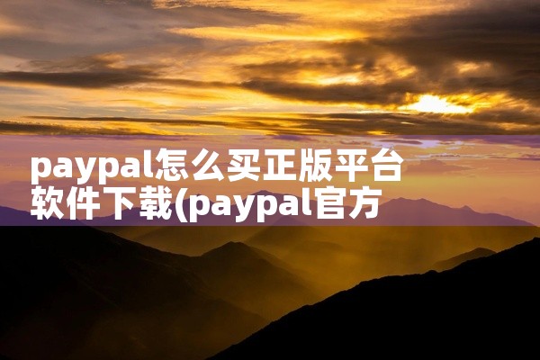 paypal怎么买正版平台软件下载