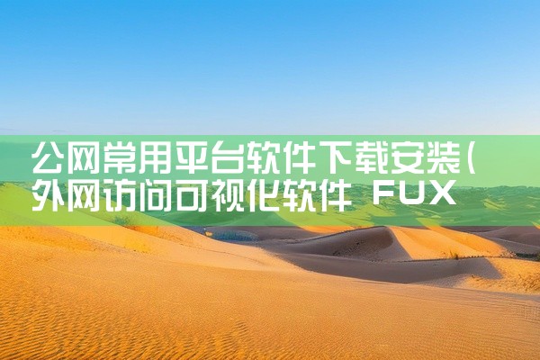 公网常用平台软件下载安装
