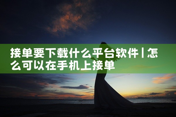 接单要下载什么平台软件
